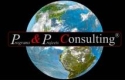 Programs & Projects Consulting